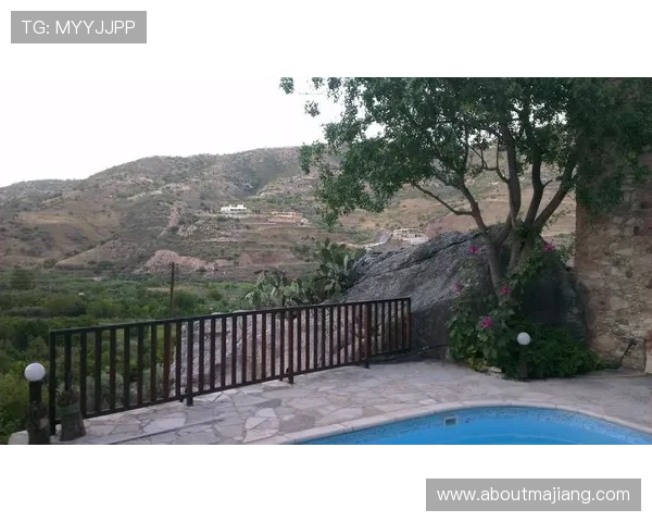 PA8网站在游戏社区中的口碑与用户评价详尽分析与建议